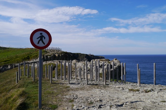 Cueto faro walk pantheon horse-riding William Rowland Jose Jackson