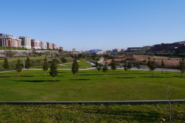 park parque santander llamas escenario