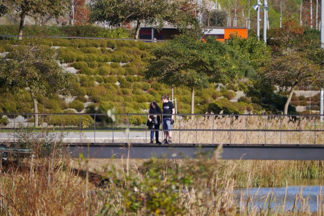 santander llamas park parque peering in
