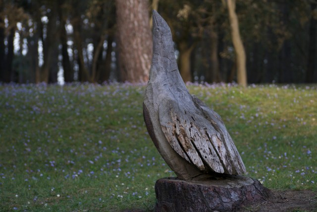 Pamela Cahill Magdalena Palace Palacio Santander Spain Wooden Sculptures 