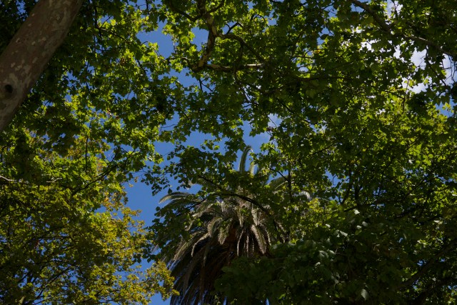 Pereda Gardens Botin Centre Santander Renzo Piano trees designer