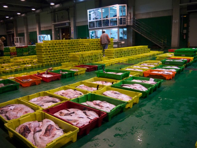 New lonja fish wholesale pescado market Santander Cantabria Spain