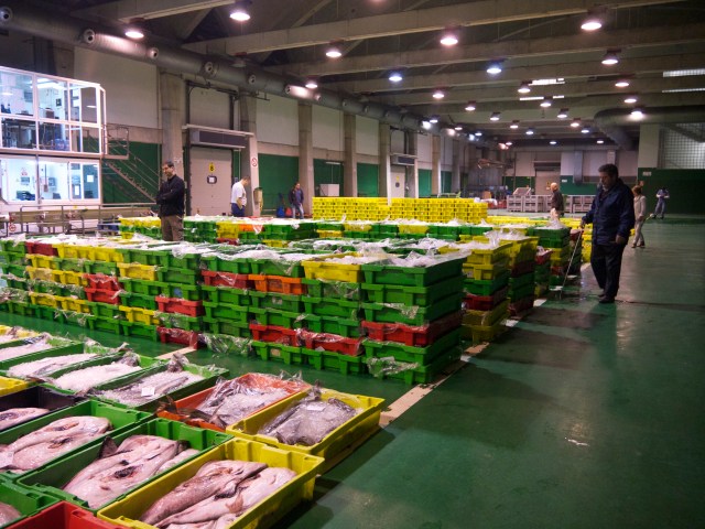 New lonja fish wholesale pescado market Santander Cantabria Spain