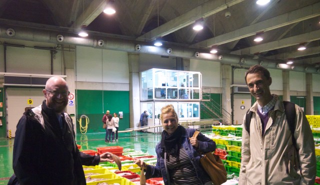 New lonja fish wholesale pescado market Santander Cantabria Spain