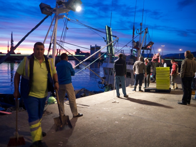 New lonja fish wholesale pescado market Santander Cantabria Spain