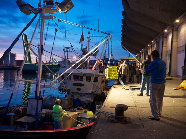 New lonja fish wholesale pescado market Santander Cantabria Spain