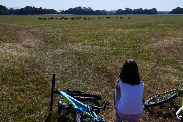 santander cork ferry park dublin
